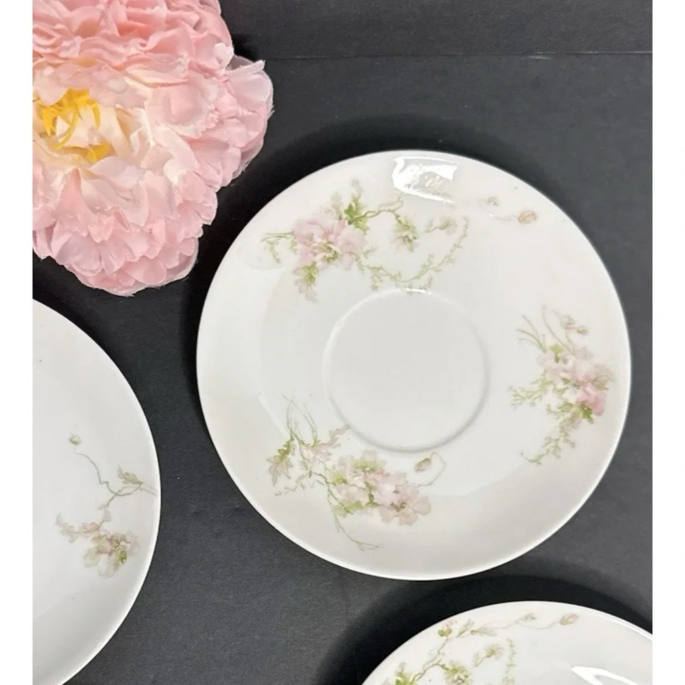 Charles Field Haviland Limoges France Pink Poppies Schleiger 377 Teacup & Saucer